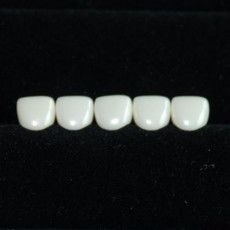 전치부A,B(Refill)(1Pack/5ea)