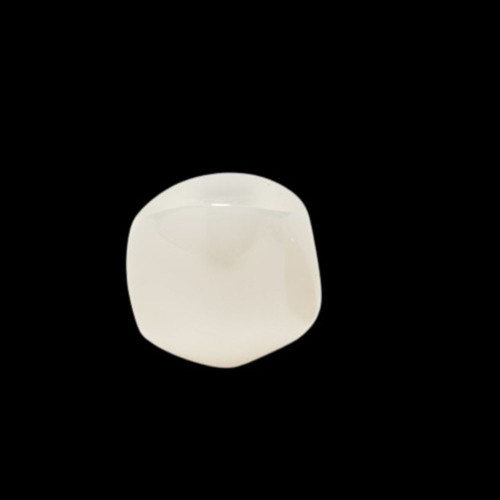 견치부(Cuspid)(낱개)