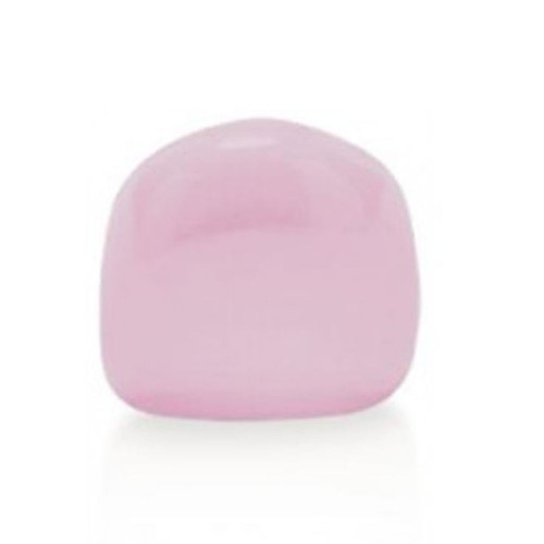 전치부(Pink Try-IN)